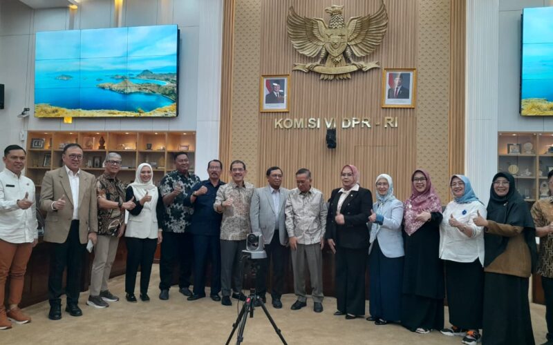 15. Audiensi DPR RI